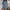 B_ Blue Jumpsuits for Women, variant on Olyvenn Women's Stylish Backless Bodycon Denim Shorts Jumpsuit Halter Sleeveless Rompers One Piece Jean Shorts Blue 12