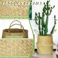 thumbnail image 4 of NOGIS Woven Plant Basket - Pack of 2, Wicker Belly Basket Planter Indoor with Plastic Liner and Handles, Natural Plant Pot for Fiddle Leaf Fig Tree, Snake Plant and Monstera (Large), 4 of 7