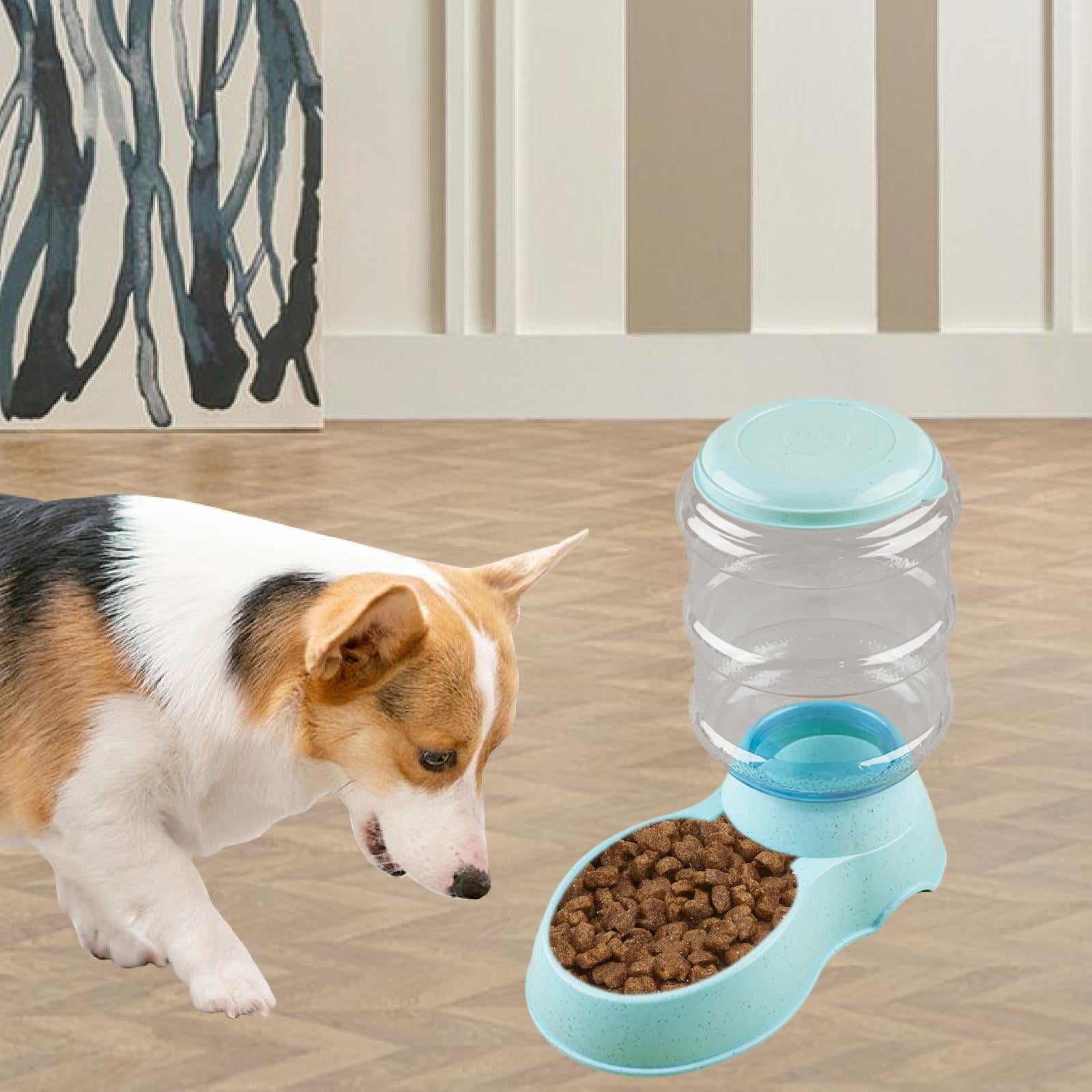 perfeclan Automatic Pet Feeder 3.8L Large Capacity for Cats Rabbits Puppy Dog Cat Feeding Device Clear Container for Business Work Accs blue feeding food