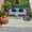Green, variant on Sage Green Botanical Outdoor Rug 3x5 Ft, Non Slip Washable Area Rug, Spring Floral Leaf Patio Rugs Carpet Runner, Large Floor Mat for Indoor/Outdoor Deck Porch Camping