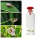 thumbnail image 2 of Trampa para Avispas para Interiores y Exteriores, Trampas Reutilizables para Avispas, Avispones Colgantes para Avispones Amarillos, de Abejas Rojo, 2 of 6