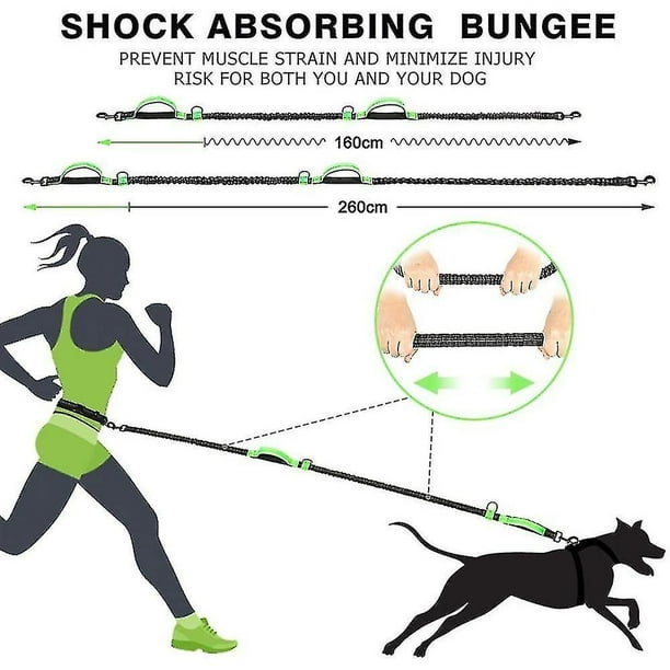Lead for running store with your dog