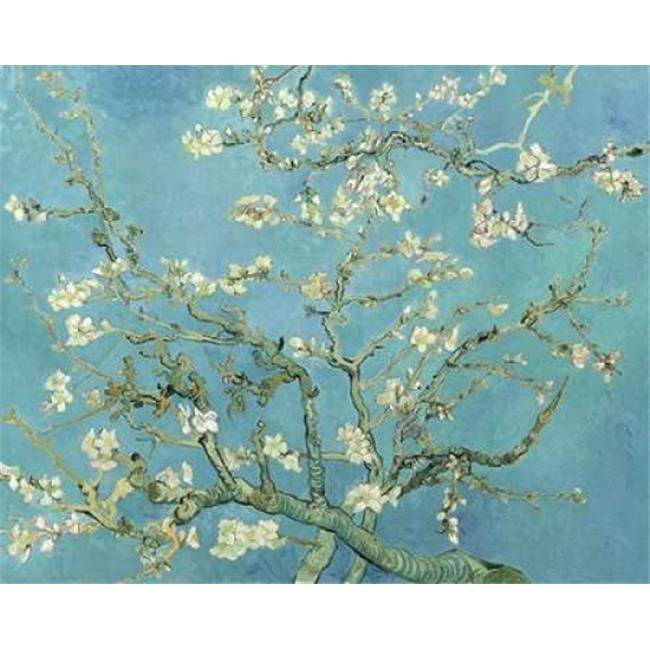Image Conscious PDXV551DLARGE Almond Blossoms 1890 Poster Print by Vincent Van Gogh  24 x 30 - Large