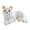 White, variant on XIANXIAN Realistic White Kitten Stuffed Animals Simulation American Shorthair Cat Plush Toy Lifelike Tabby Kitty Plushie Doll Gifts/12"