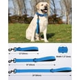 thumbnail image 2 of shiyou-Strong Short Dog Leash 1FT, 1.2 Inch Wide, Heavy Duty, Padded Handle for Traffic Control, Reflective Leash for Medium and Large Dogs Walking Training, Aqua Blue, 2 of 4
