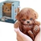 thumbnail image 1 of My lifelike robot puppy, a robot puppy that behaves like a real dog, a cute soft robot dog that walks and barks (brown), 1 of 5