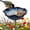 Gradient Blue, variant on Handmade Ceramic Mini Pollinator Watering Station, Colorful Flower Bee Water Feeder & Butterfly Bird Bath, Small Outdoor Garden Stake Yard Art Decor Gift for Nature Lovers (6 Colors)