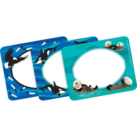 UPC: 0704068015494 | Barker Creek Sea & Sky Name Tags/Self-Adhesive Labels 3 ½” x 2 ¾” 45 per package/3 designs (BC1549)