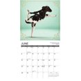 thumbnail image 3 of Cow Yoga 2026 12 X 12 Wall Calendar, (Hardcover), 3 of 5
