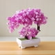 thumbnail image 3 of Plantas artificiales Bonsái Árbol simulado Plantas en maceta Flores falsas Adornos de mesa en maceta, 3 of 5