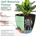 thumbnail image 2 of 5 Pack Self Watering Plant Pots, 10/9/8/7.5/7 Inch Large Plastic Planters with Drainage Holes, Water Level Indicator & Deep Reservoir, Flower Pots for Indoor Outdoor Garden Plants（Green）, 2 of 9