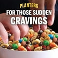 Planters Nut/Chocolate Trail Mix, 72 / Carton