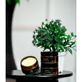 thumbnail image 3 of TRYBE Shea Body Butter, 100g/3.5 oz., 3 of 3