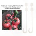 thumbnail image 4 of Vine Support Clips for Garden Plants Tomato Hooks, 4 of 5