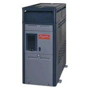 Raypak 014786 PR156AEPC 150000 BTU Propane Gas Heater