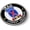 Metal Bezel, variant on BestLicensePlateFrames - US Army 10th Mountain Division Iraq Combat Veteran 3D Domed CAR Emblem Badge Sticker Flexible - Official U.S. Army Licensed Product