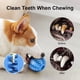thumbnail image 3 of ZHAOCHENG pelotas de juguete para perros, pelota para masticar para perros, dientes limpios de goma, juguete no tóxico resistente a las mordeduras, pelota de juguete interactiva de entrenamiento de ro, 3 of 4