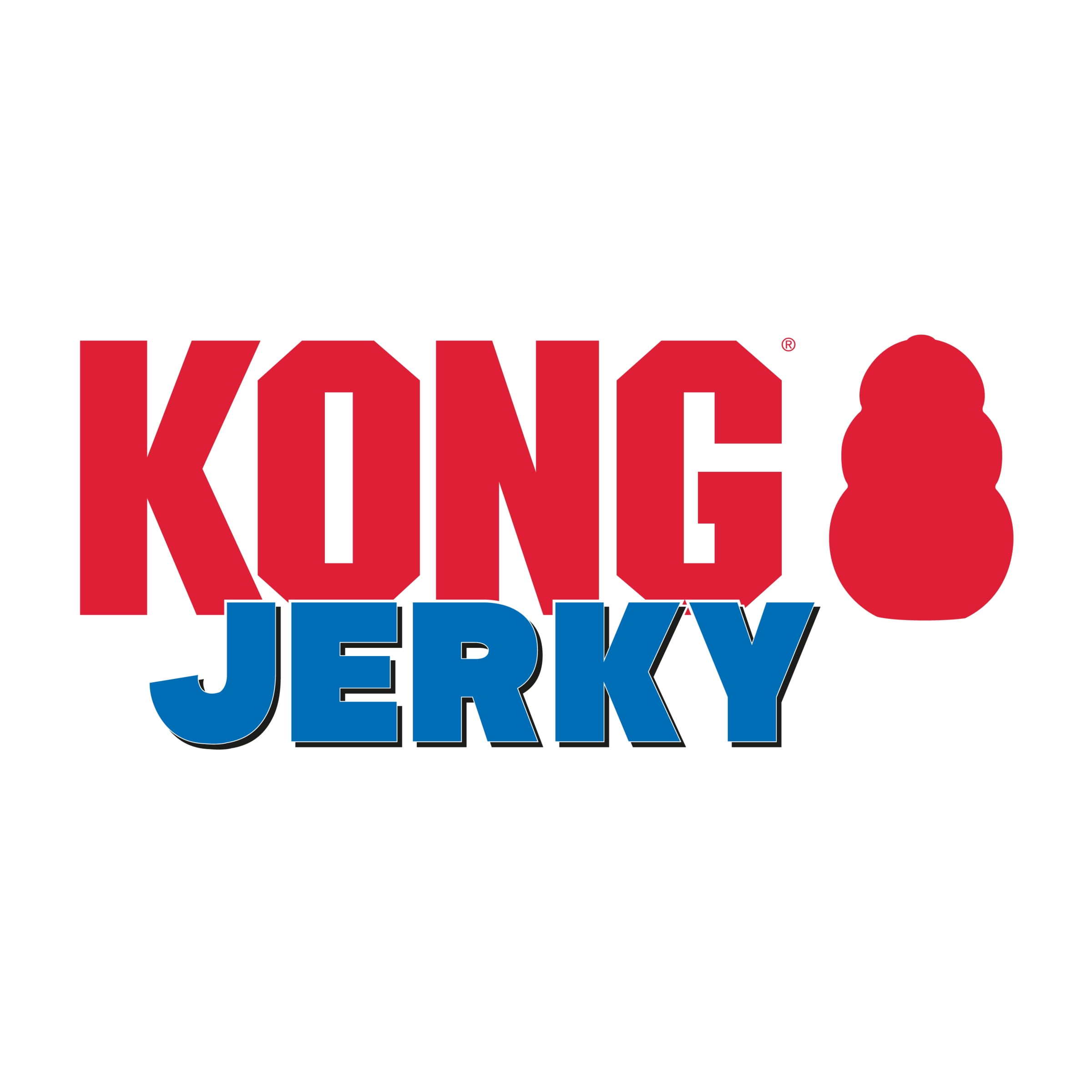 KONG® Jerky Grain Free Dog Treats, Premium Biscuit, Chicken, Medium/Large