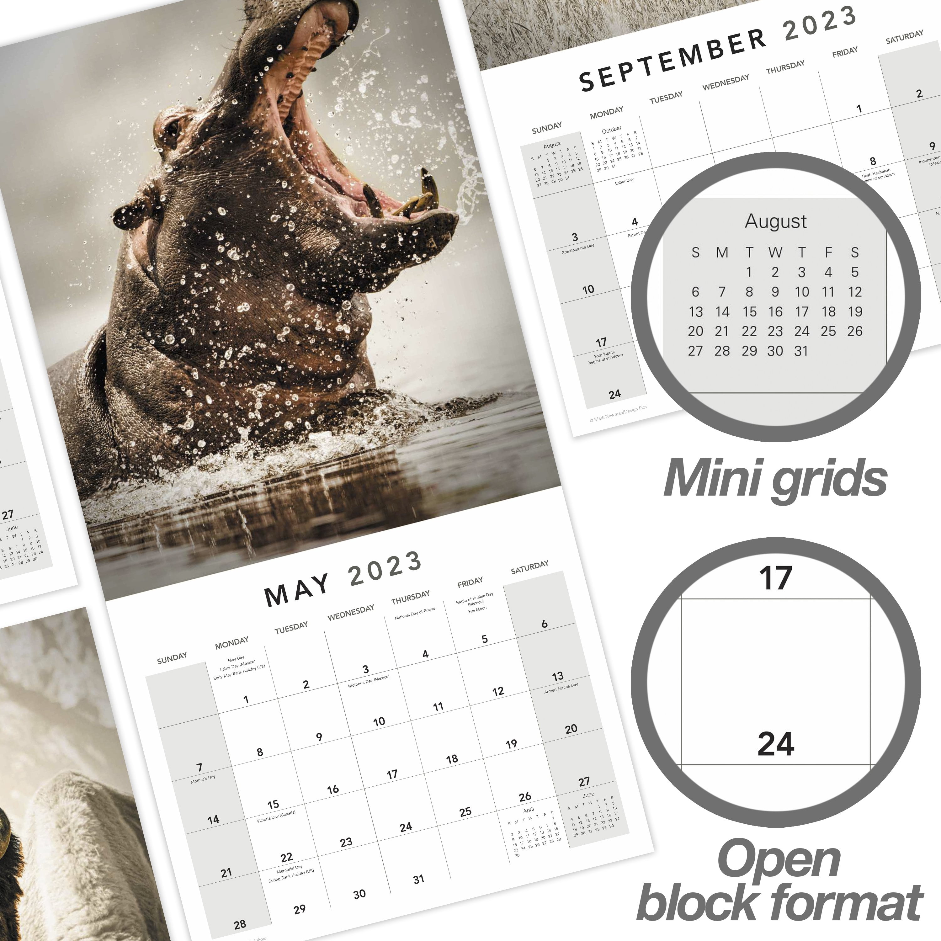 2023 Wall Calendar, Extraordinary Earth, 12" x 12" by Mead (WMET1810-23)