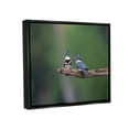 thumbnail image 4 of Stupell Industries Blue Jays on Branch Animals & Insects Photography Black Floater Framed Canvas Art Print Wall Art, 31 x 25, 4 of 10
