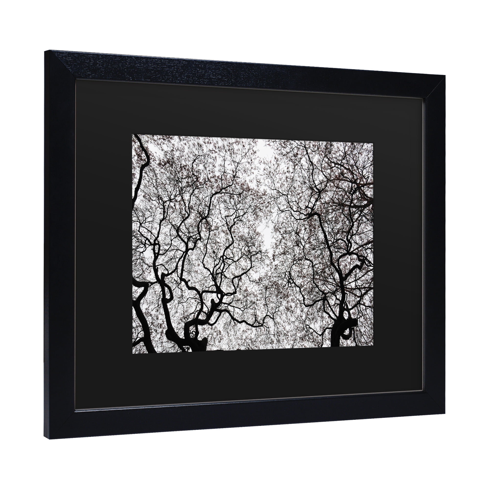 Trademark Fine Art 'Japanese Maple Spring Abstract' Canvas Art by Kurt Shaffer