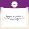 thumbnail image 3 of Natural Factors OsteoMove Joint Care, Extra Strength Support for Joint and Bone Health, Non-GMO, 60 Tablets, 3 of 8