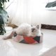 thumbnail image 4 of Tapete rascador corrugado, cama para rascar gatos, tablero de reciclaje duradero para protección de muebles, cuenco rascador para gatos, juguete de entrenamiento para gatos..., 4 of 5