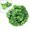 Sweet potato, variant on Artificial Green Ivy Leaf Rattan – Fake Hanging Vines for Garden, Wedding, Party, and Home Decor – Realistic Artificial Creeper Leaves – No Watering, No Maintenance – Assorted Leaf Styles