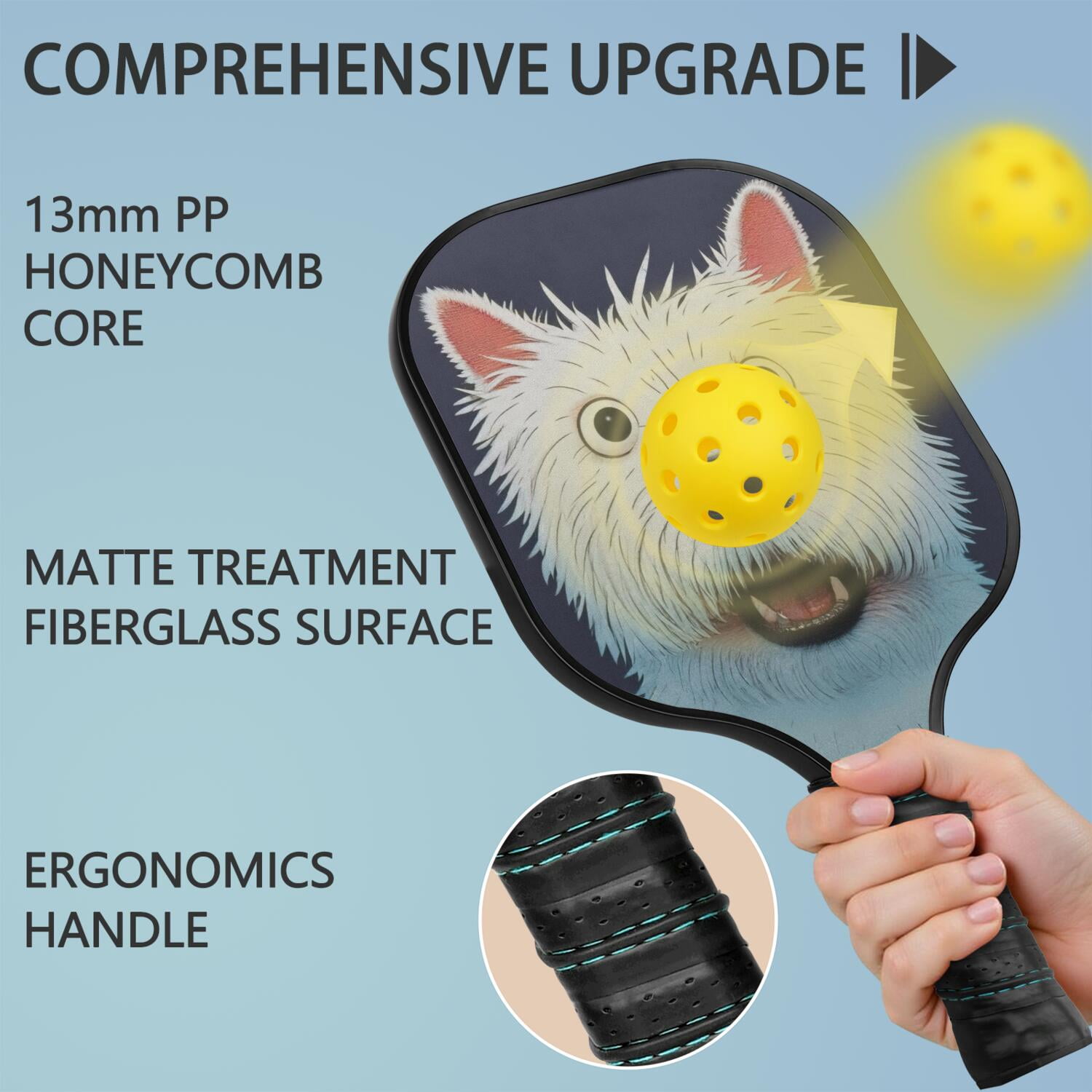 Pickleball Paddles Set Of 2, Fiberglass Surface, Astonished Dog Print, 4 Balls & Bag