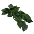 thumbnail image 1 of Reptile Simulation Decorative Landscaping Green Vine for Pet Box, 1 of 7