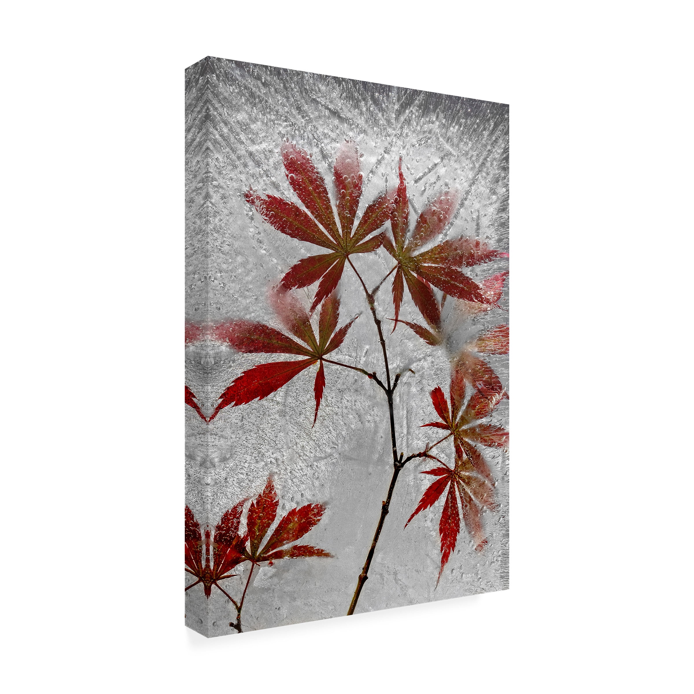 Secundino Losada 'Red Maple' Canvas Art