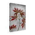 thumbnail image 4 of Secundino Losada 'Red Maple' Canvas Art, 4 of 4