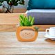 thumbnail image 1 of Lovely Planter Flower Pot Container con orificio de drenaje Pencil Holder Box Ornament Fairy Garden Macetas para jardín DIY Decoraciones Regalo de naranja claro Soledad Florero Contenedor, 1 of 10