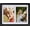 Rustic Black, variant on Collage Picture Frame, Double 4x6 Picture Frame with Mat, Fits 8x10 or Two 4x6 Photos, Tempered Glass, for Tabletop or Wall Mount-Rustic Black