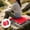 Red, variant on Werulen Foldable Oxford Cloth Outdoor Seat Cushion, Portable Waterproof Camping Mat Hiking, Thick Soft Padding Stadium Bleachers, Lightweight Compact Seat Pad Picnic, Versatile Fishing Travel Cushion