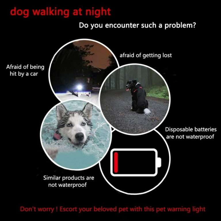 Dog night 2024 walking lights