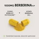 thumbnail image 3 of Berberina 1000mg Vitfinity | 10X Absorción con Berbevis® Phytosome® | Fórmula Dual Action HCL | 60 Cápsulas, 3 of 6
