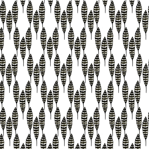 Sketchy Feathers Premium Roll Gift Wrap Wrapping Paper