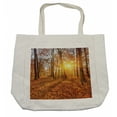 thumbnail image 1 of Forest Shopping Bag, Foggy Sunset Vibrant Sunbeams Rural Country Woodland in Fall Scenery Image, Eco-Friendly Reusable Bag for Groceries Beach and More, 15.5" X 14.5", Cream, by Ambesonne, 1 of 2