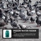thumbnail image 4 of Comedero para pájaros, bebedero doméstico para codornices, bebedero de plástico para pájaros, accesorio para pájaros, 4 of 4