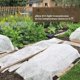 thumbnail image 2 of Cubiertas para plantas, protección contra heladas, cubierta de fila flotante, tela de jardín, cubierta para plantas para protección contra heladas de invierno, protección solar contra plagas, 1,6*9M JAMW Sencillez, 2 of 5