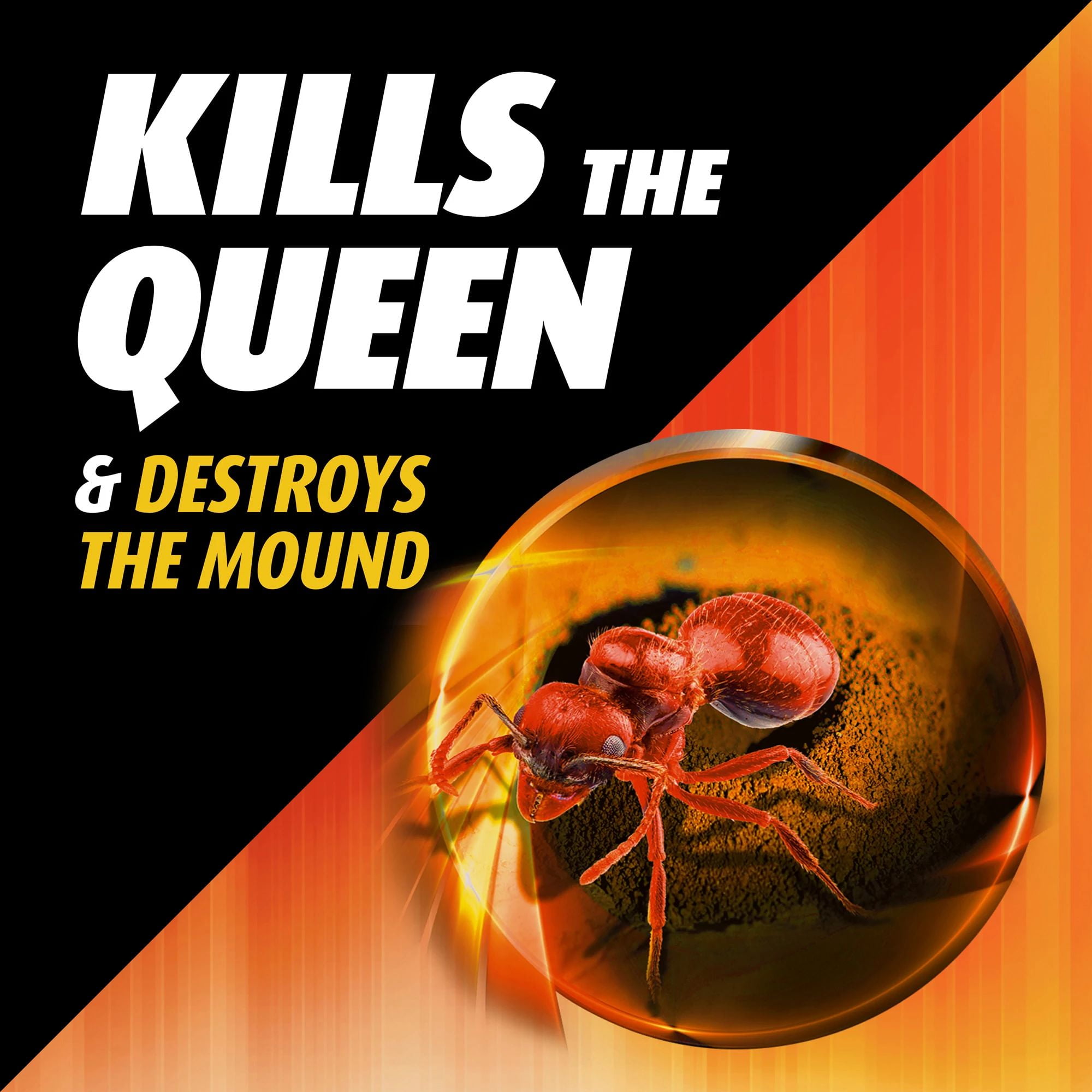 (2 pack) Ortho Orthene Fire Ant Killer1, Kills Queen, Destroys up to 162 Mounds, 12 oz.