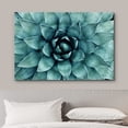 thumbnail image 3 of HFDF Canvas Prt Wall Art Closeup of Teal Rose Succulent Floral Plants Photography Realism Rustic Scenic Colorful Multicolor Ultra for Livg Room, Bedroom, Office - 24x16inch Framed, 3 of 6