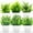 6Pcs Mini Potted Plants with White Pot, variant on 6Pcs Realistic Mini Potted Artificial Plants - Small Faux Houseplants Greenery for Home Office Desk, Shelf, Bathroom Bedroom Decor