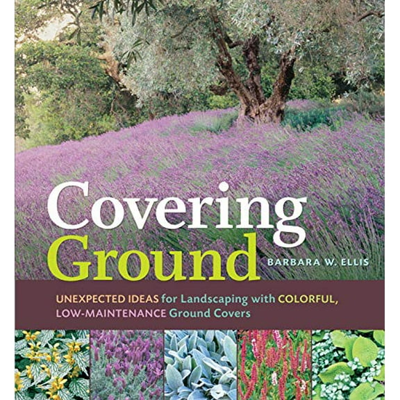 Pre-Owned Covering Ground: Unexpected Ideas for Landscaping with Colorful, Low-Maintenance Ground Covers (Paperback) 1580176658 9781580176651