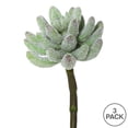 thumbnail image 3 of Vickerman 6" Artificial Frosted Crassula Pick, Set of 3, 3 of 4