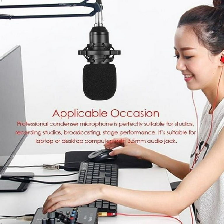 Best Choice BM-800 Professional Broadcasting Studio Recording Condenser  Microphone with Mic Stand ,Pop Filter black silver