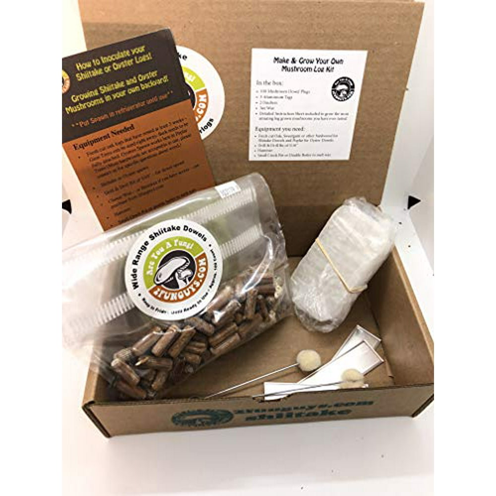 Shiitake Plug Spawn Starter Kit Grown Your Own Mushrooms Walmart