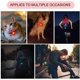 thumbnail image 5 of Colgante de luz intermitente LED de 5 uds, Collar de perro LED de silicona, Collar de luz para mascotas, colgantes para collares de perros y gatos JM, 5 of 5