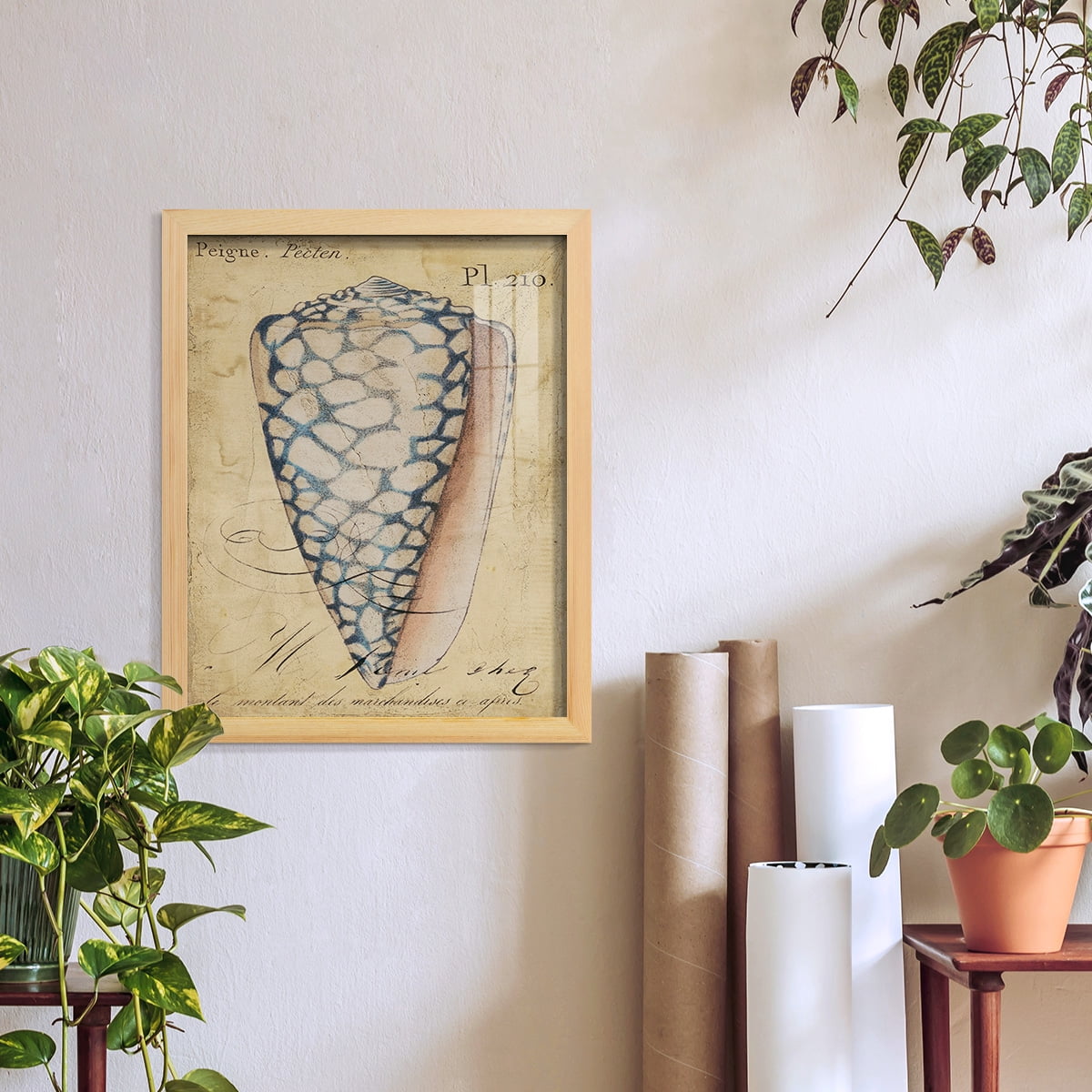 Seashell Ephemera IV - Framed Print w/glass - Natural Wood